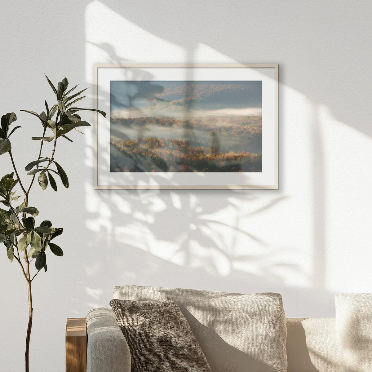 PNP093W062