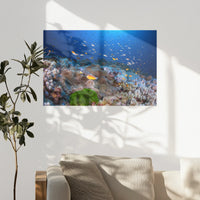PO-075W050