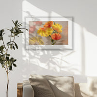 PWP093W062