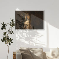 LWW120W080