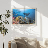 PN-060W040