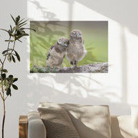 PO-045W030