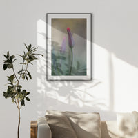 PBP070W100