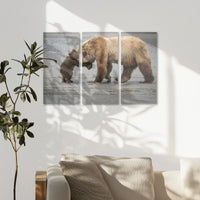 AC-090R060