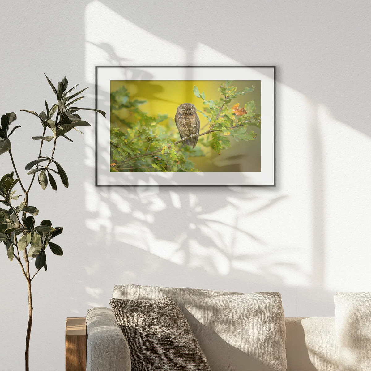 PBP093W062