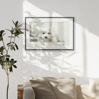 PBP060W040