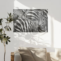 PO-075W050