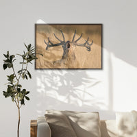 LWN100W070
