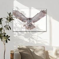 LW-075W050