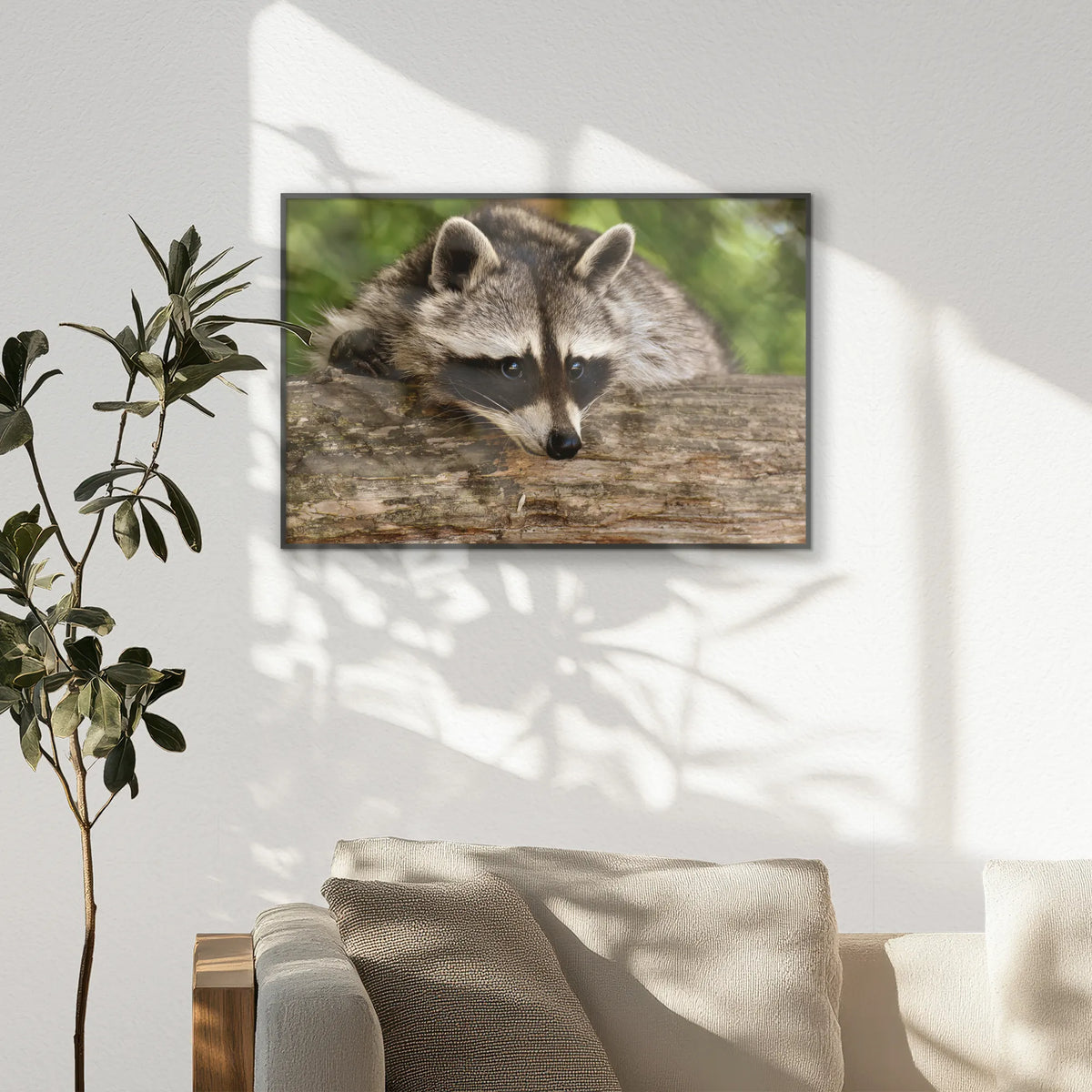 PB-093W062