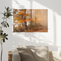 PO-030W020