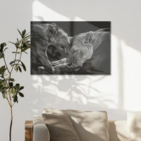 AC-075W050