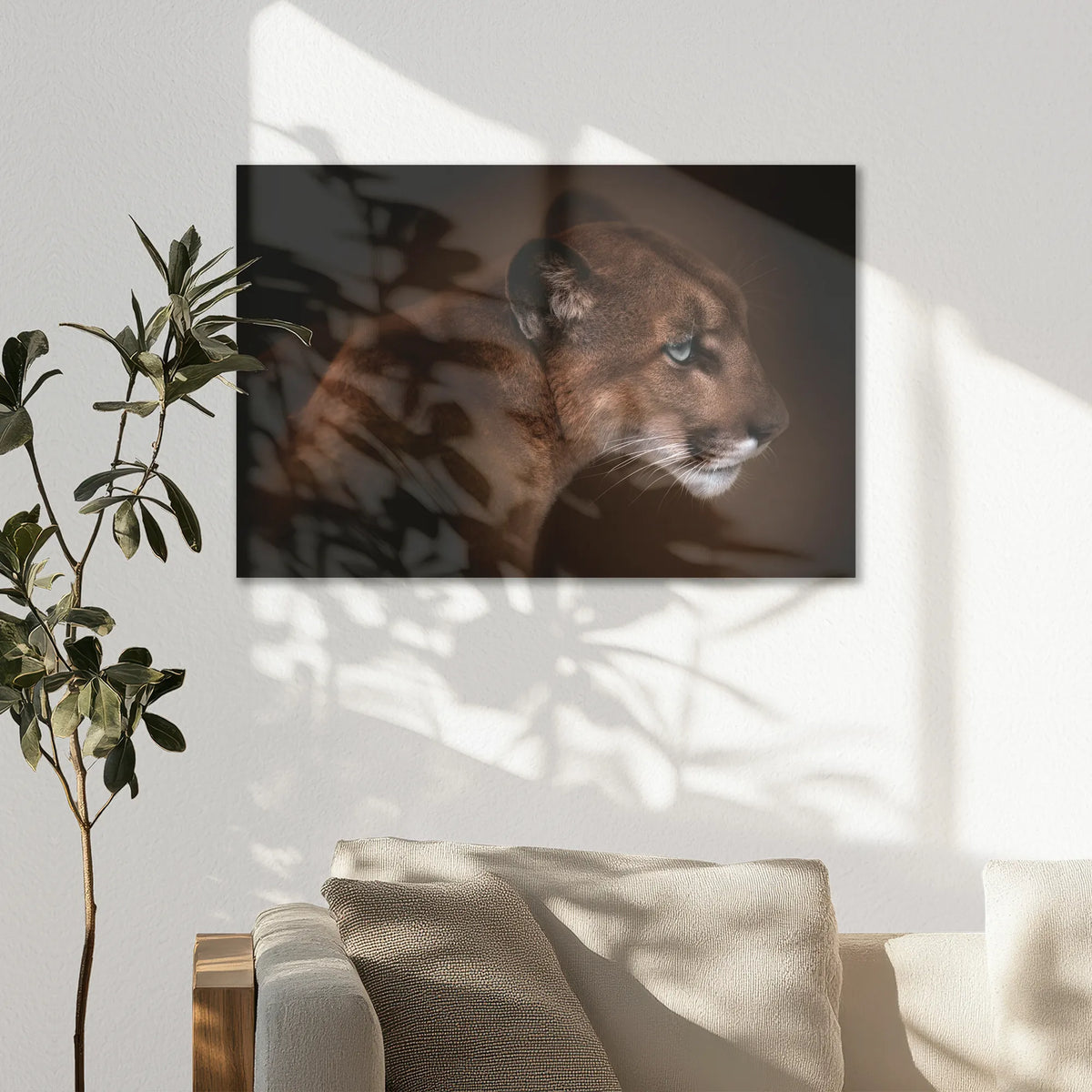 AL-075W050